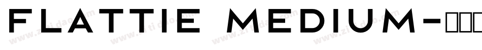 Flattie Medium字体转换